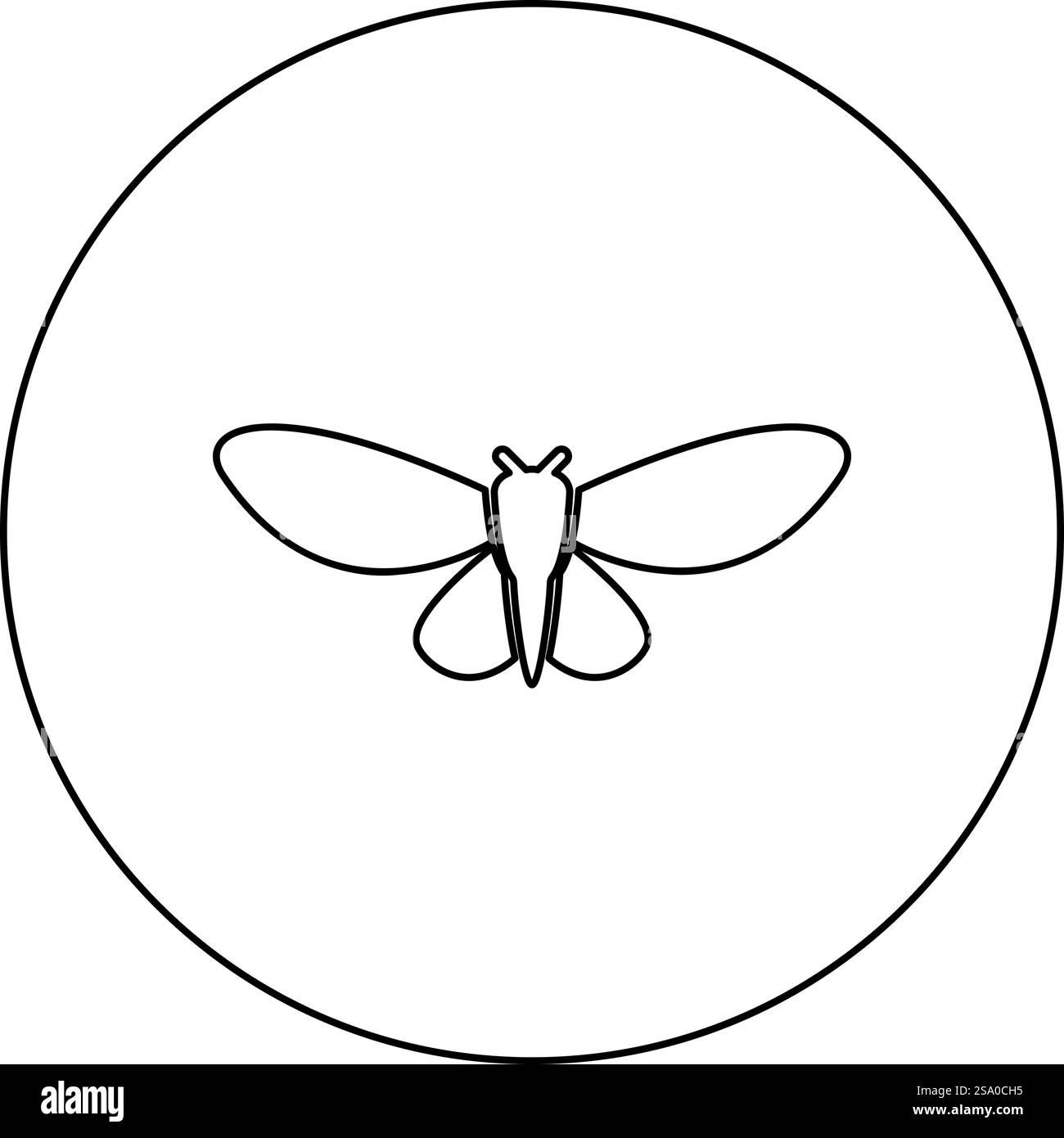 Moth butterfly clothing icon in circle round black color vector ...