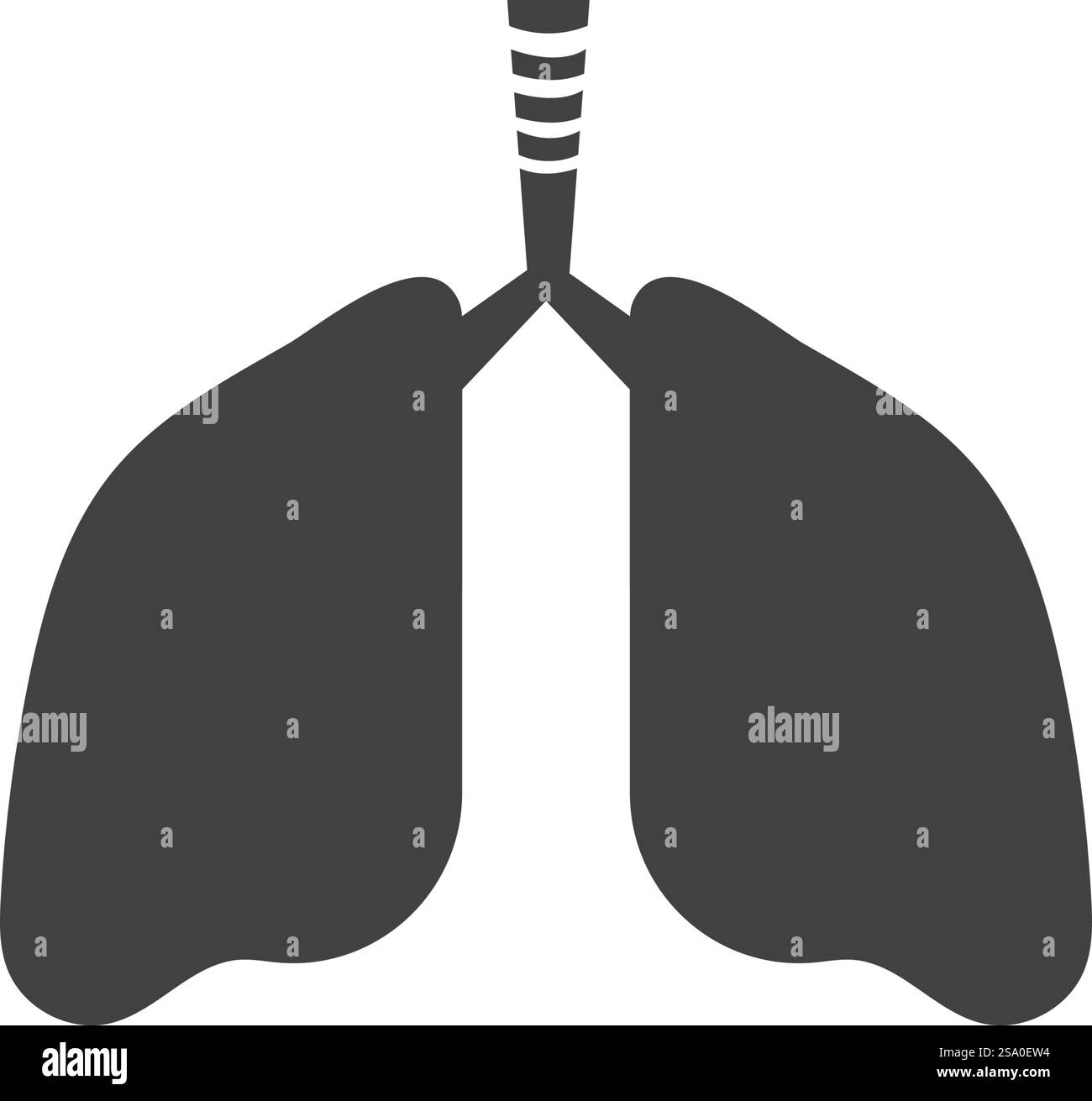 Lungs illustration vector hi-res stock photography and images - Alamy
