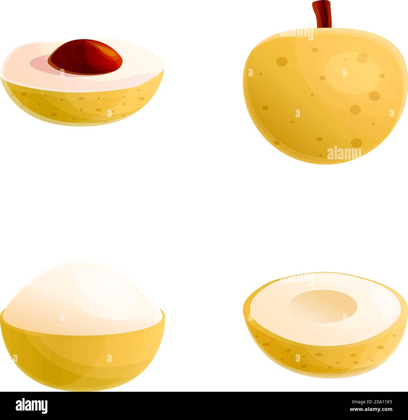 Longan fruit icons set cartoon vector. Fresh exotic fruit. Raw food ...