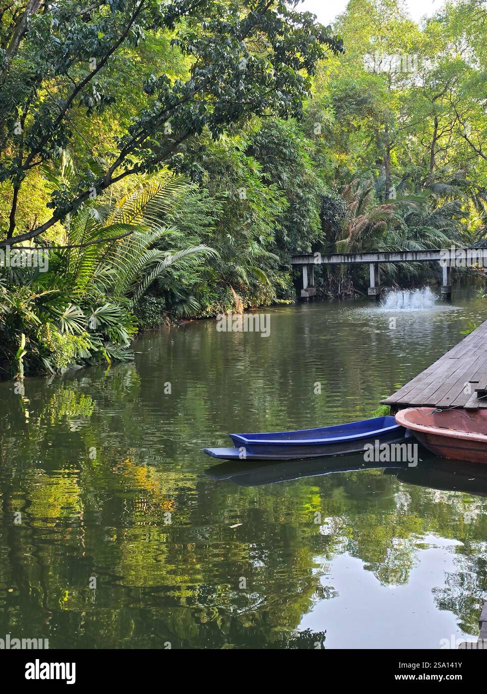 A peaceful green corner by a canal in Mahidol University in suburb Bangkok - Smartphone Captured Stock Image