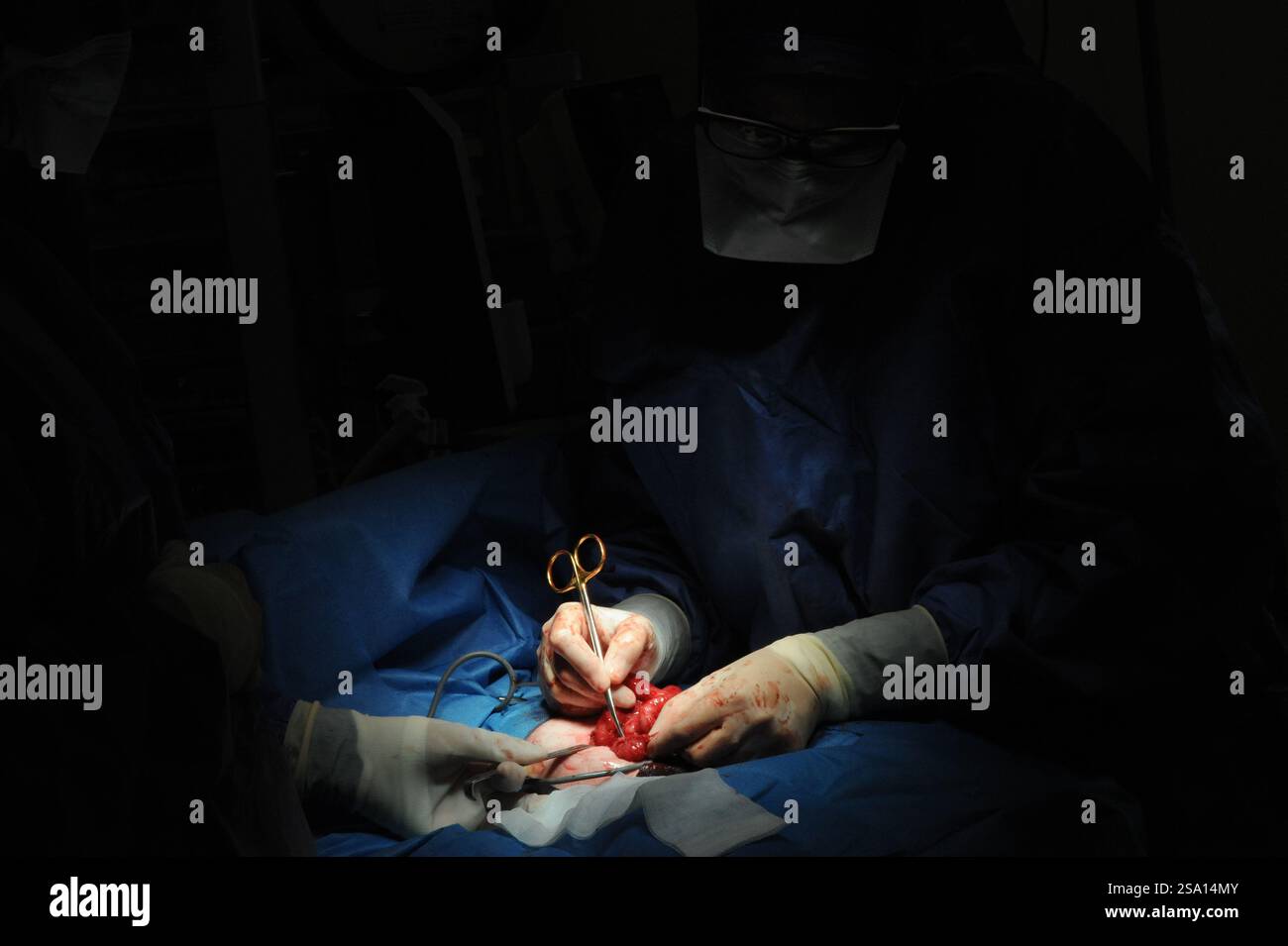 Operating room in pediatric surgery on a child Stock Photo - Alamy