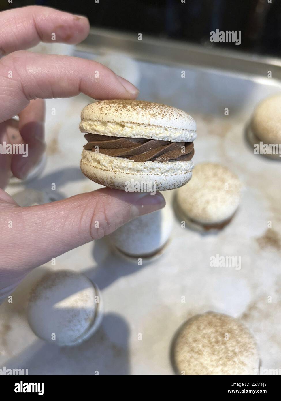 Macarons with chocolate gingerbread ganache, Vienna Austria Stock Photo