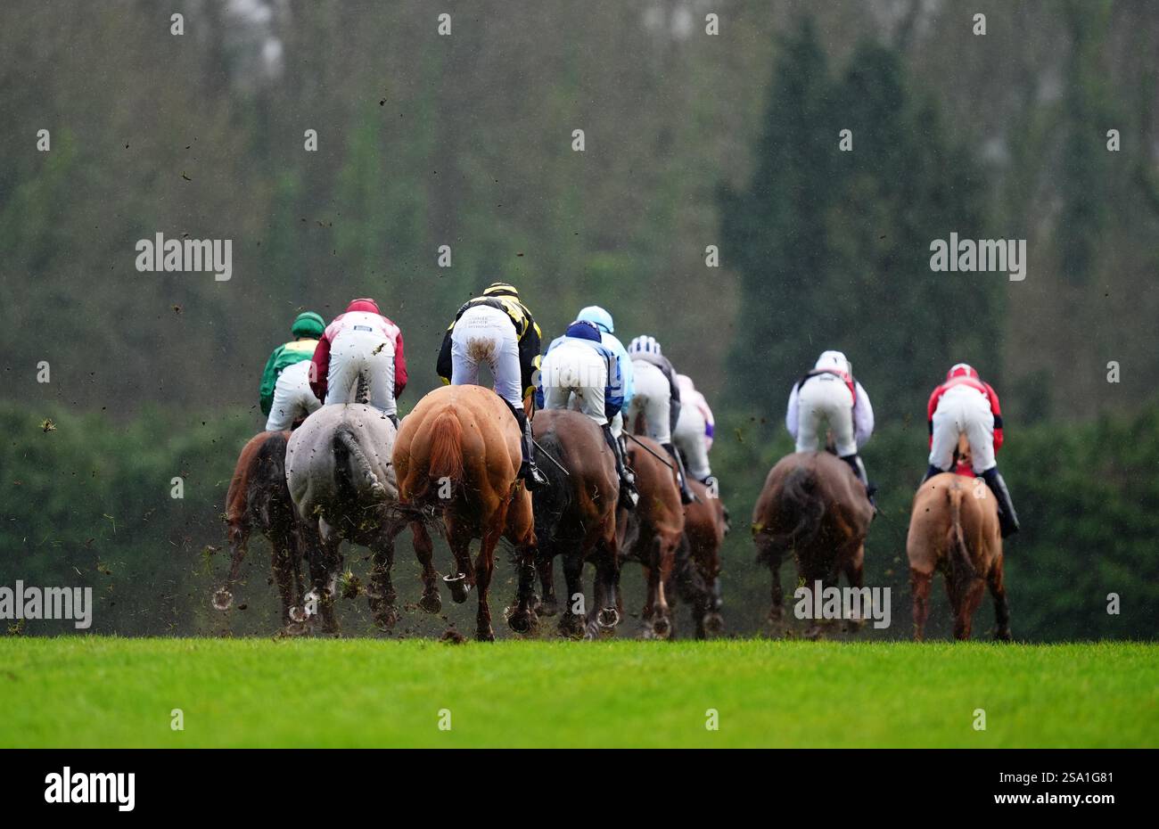 Runners and riders during the Tom Jones Live In July Conditional ...
