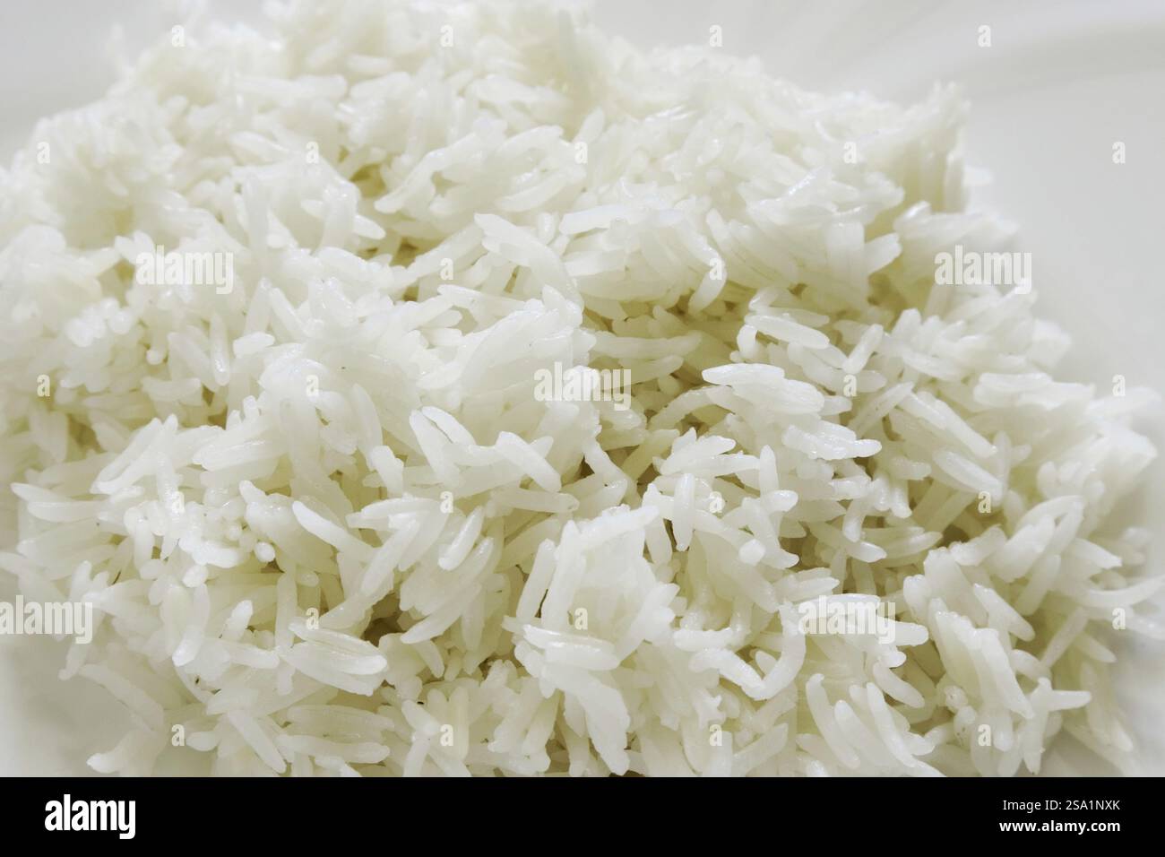 Grains, Basmati rice, chaval, oryza sativa, India, Asia Stock Photo - Alamy