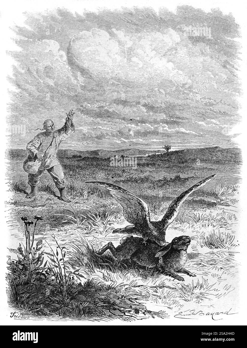 Chinese Falconer Using Hawk or Bird of Prey to Hunt or Catch Rabbit China. Vintage or Historic Engraving or Illustration 1864 Stock Photo