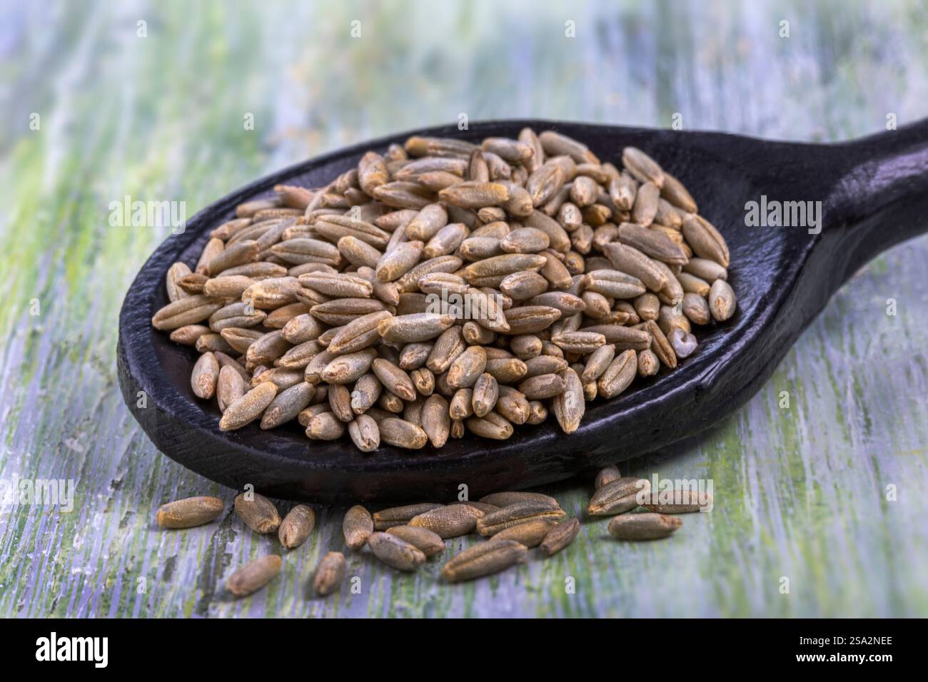 Whole rye seeds Stock Photo - Alamy