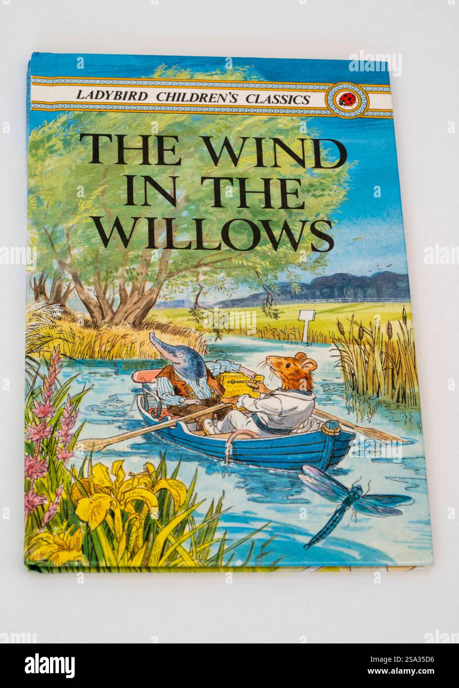 An image of a traditional fairy tail the wind in the willows Ladybird ...