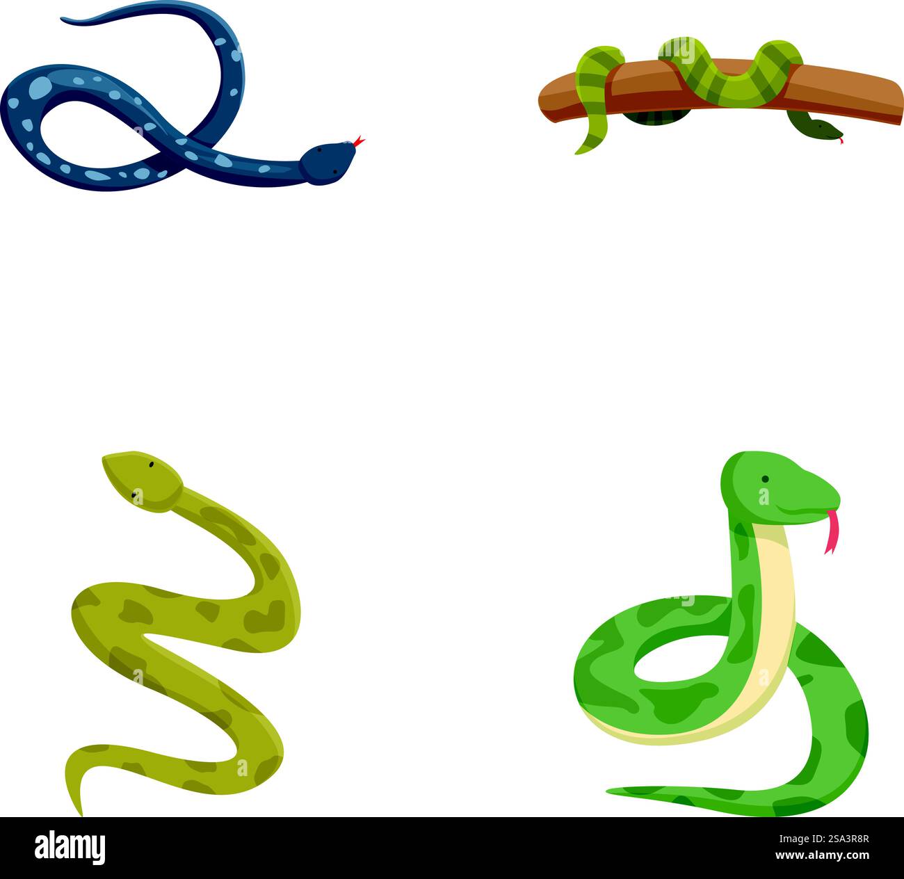 Set of four different cartoon snake illustrations isolated on a white ...