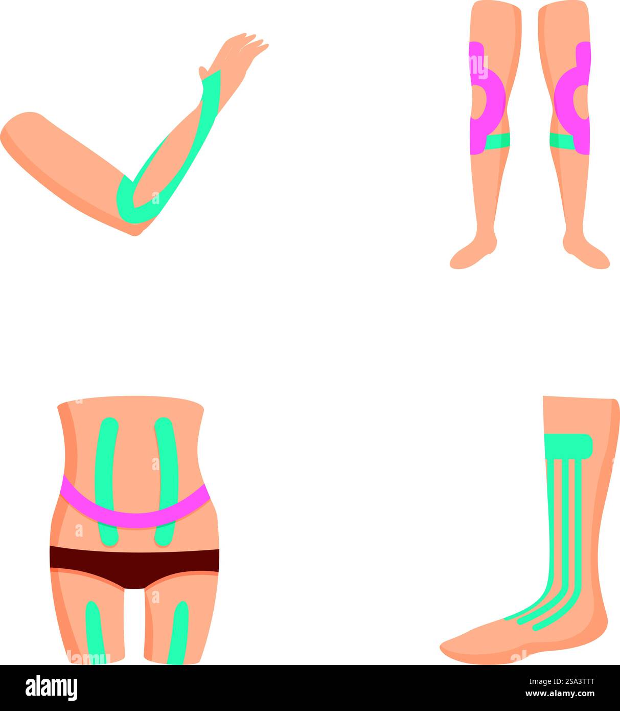 Human Support System Simple Drawing Set of vector illustrations depicting elbow, knee braces, back support ...