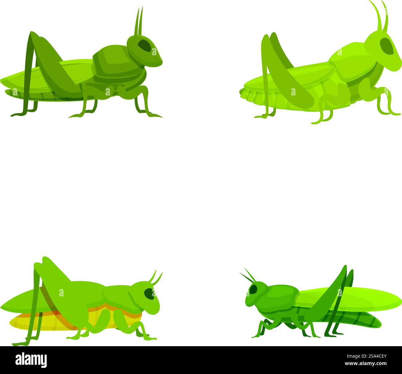 Collection of four vector illustrations of green cartoon grasshoppers ...