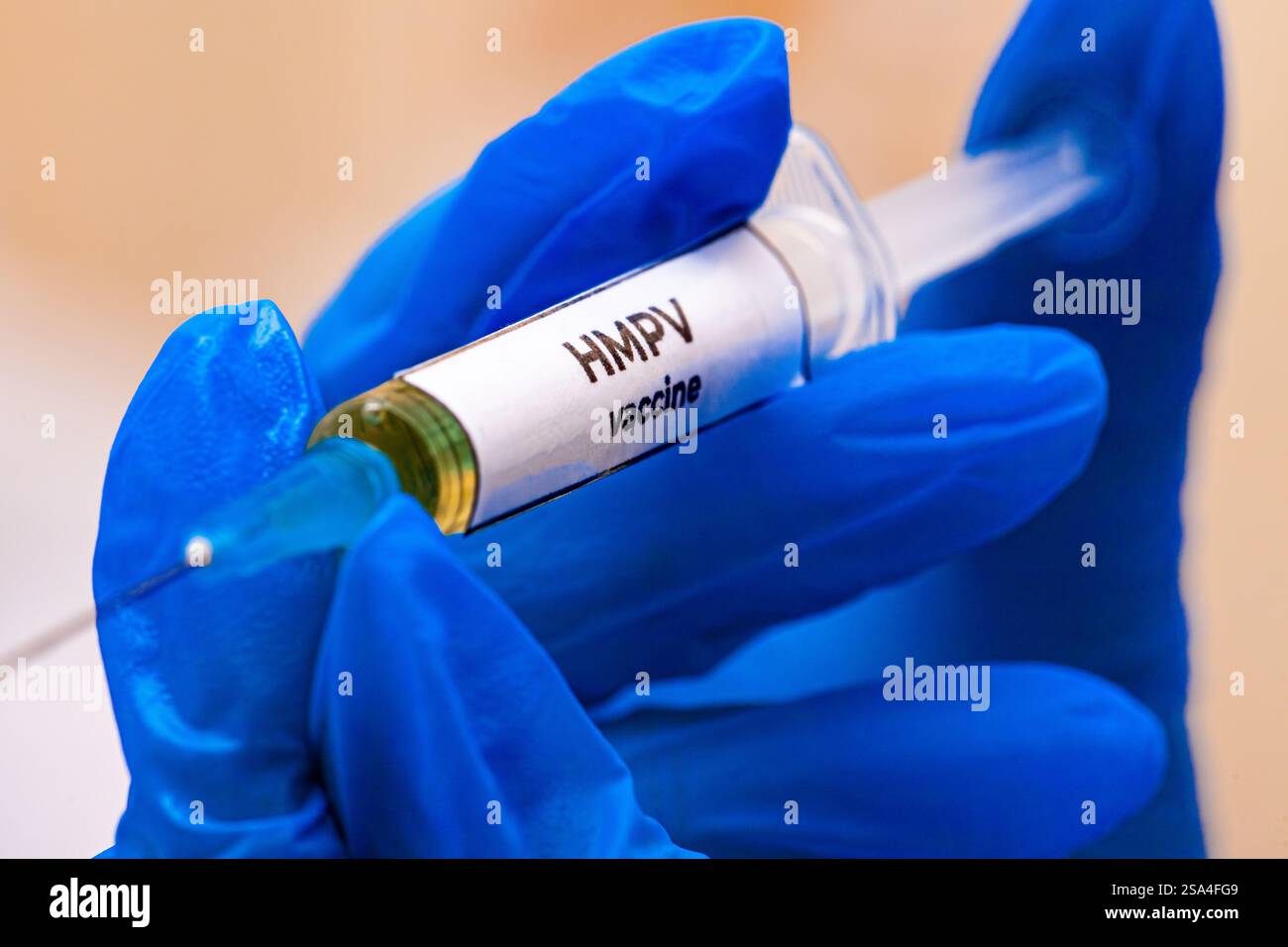 Hmpv is a negative sense single stranded rna virus of the family