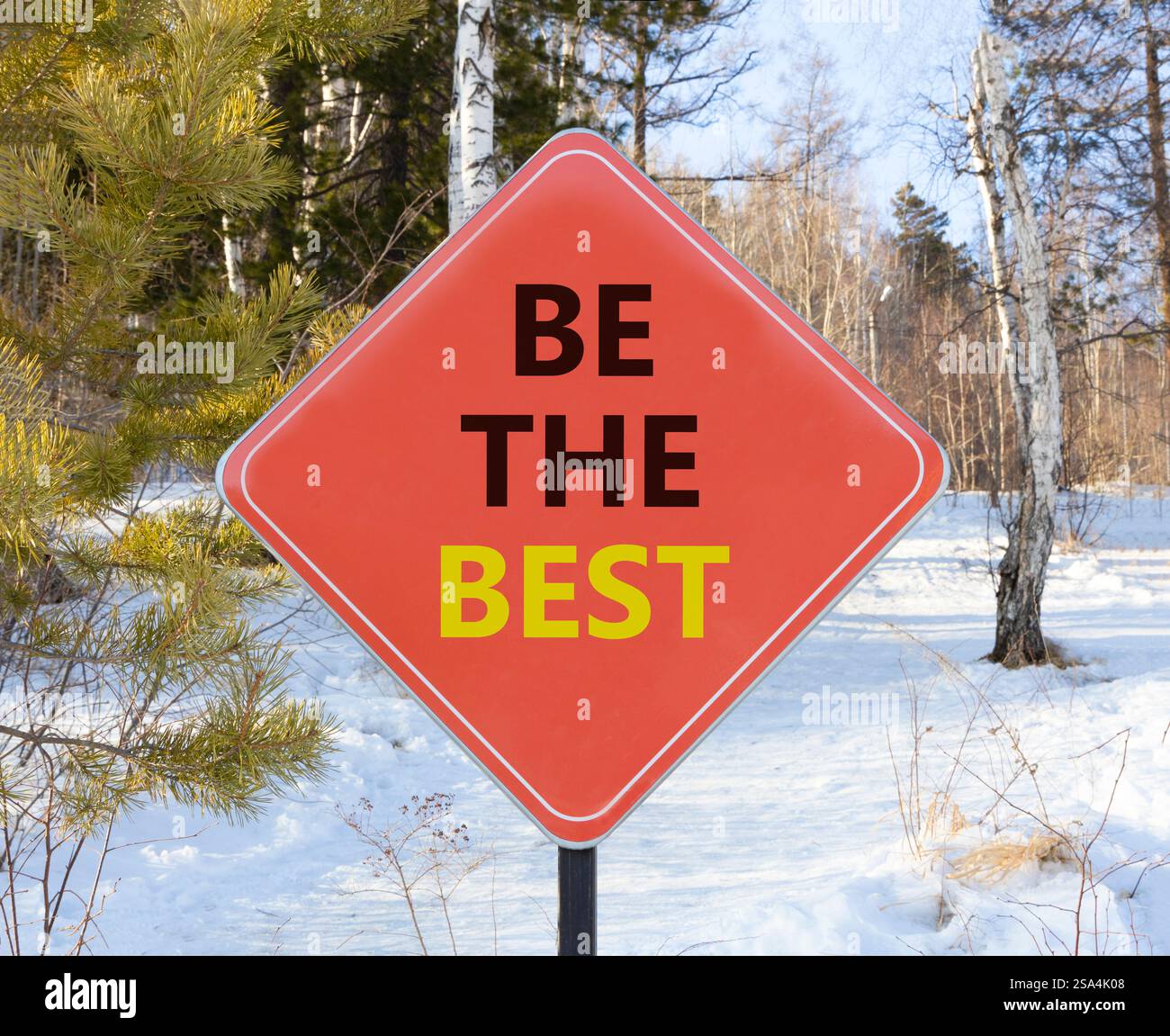 Motivational be the best symbol. Concept words Be the best on beautiful ...