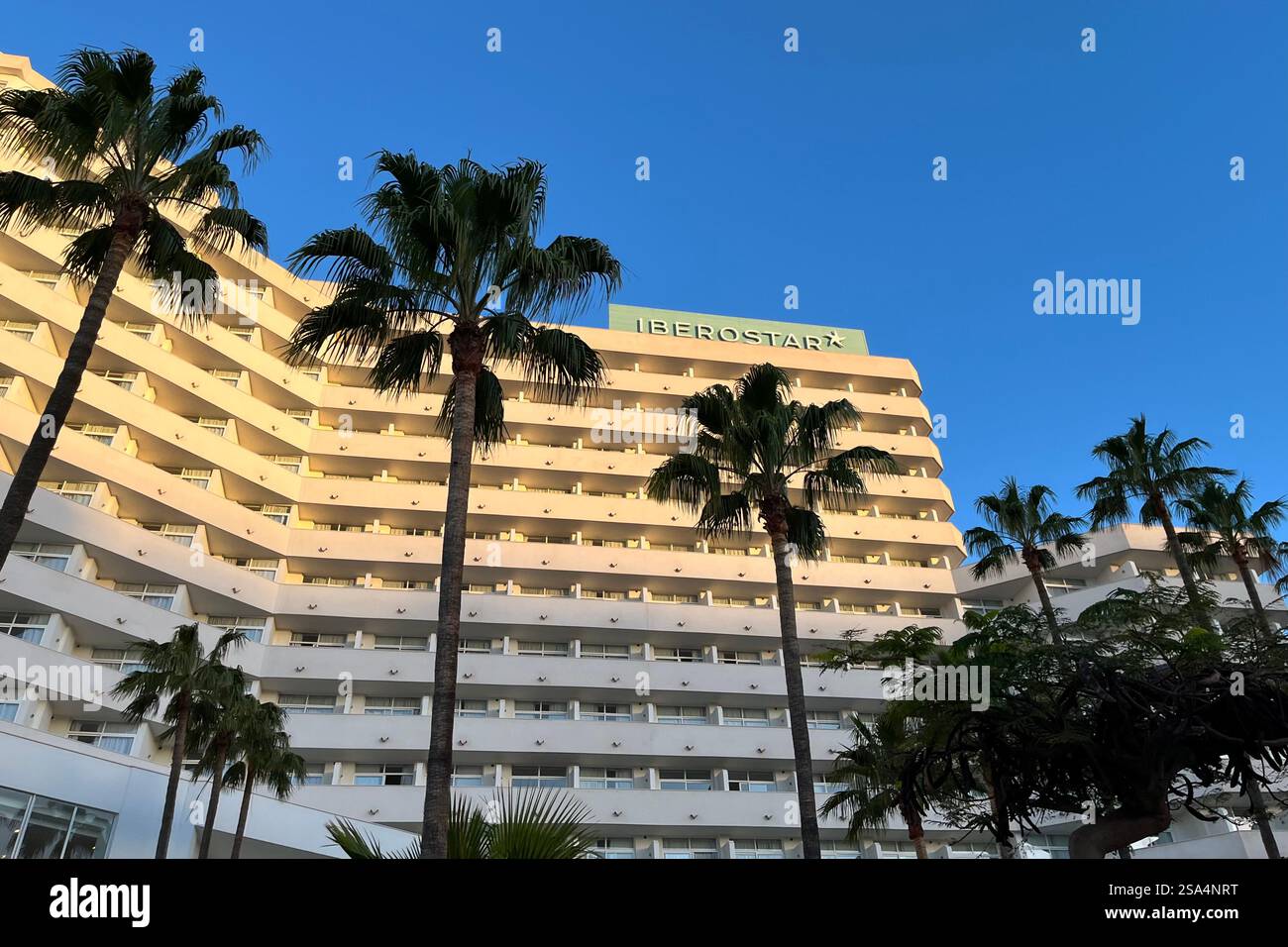 Tall Palm Trees in front of the Iberostar Waves Bouganville Playa Hotel. Costa Adeje, Tenerife, Canary Islands, Spain. 14th January 2025. - Smartphone Captured Stock Image