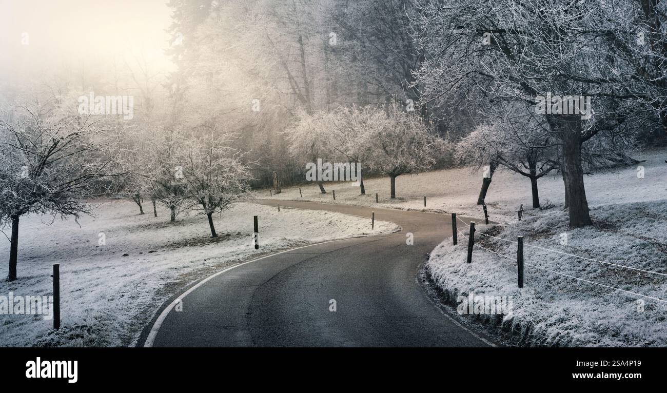 Diffuse Landscape Winter wonderland: a bendy road winding in a frozen landscape with a ...