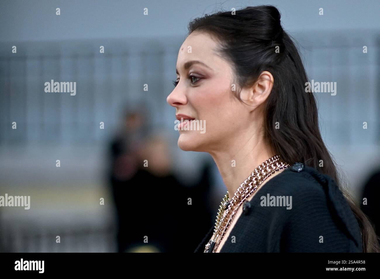 Paris, France. 28th Jan, 2025. Marion Cotillard at the Chanel Haute ...
