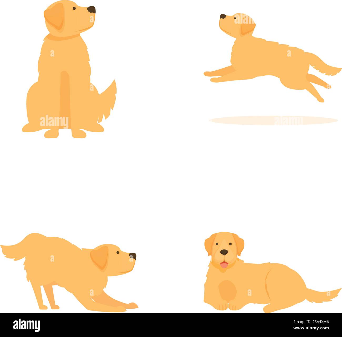 Dog in different poses hi-res stock photography and images - Alamy, image size:1300x1282