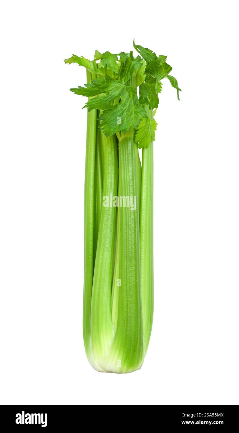 Green celery stalk isolated cutout on white Stock Photo