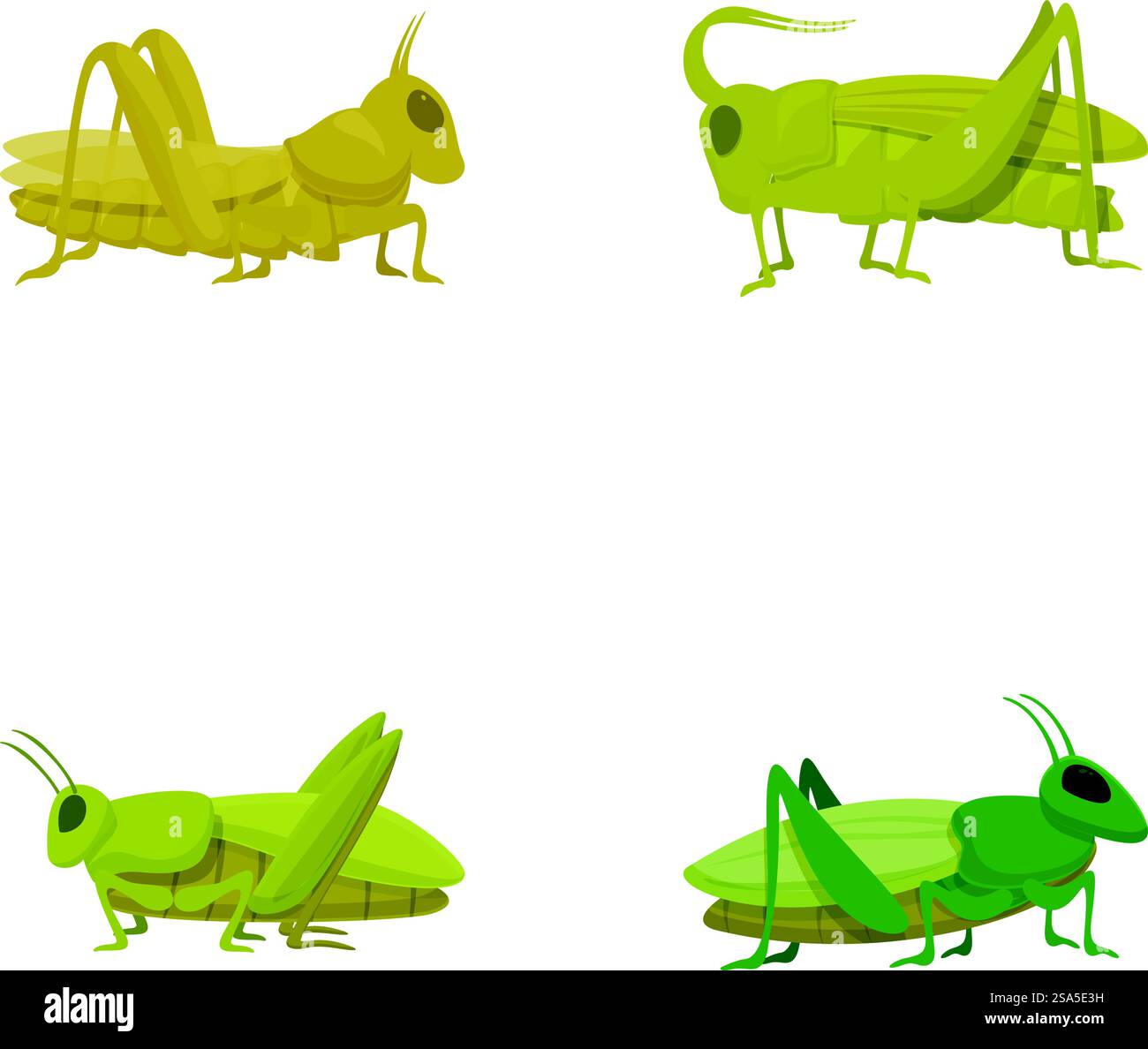 Colorful illustration of four cartoon grasshoppers on a white ...