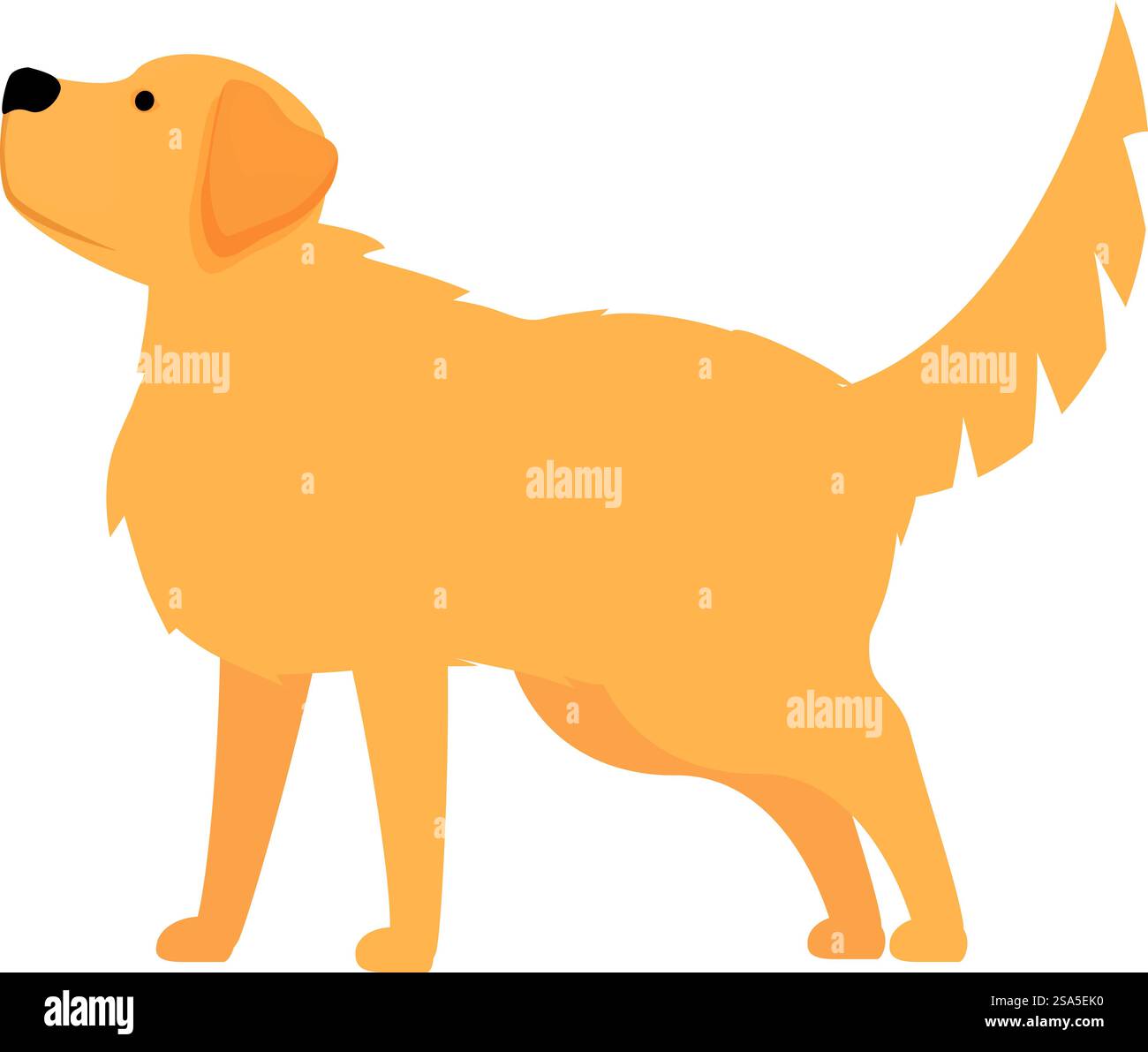 Illustration of a golden retriever dog, standing and looking up ...