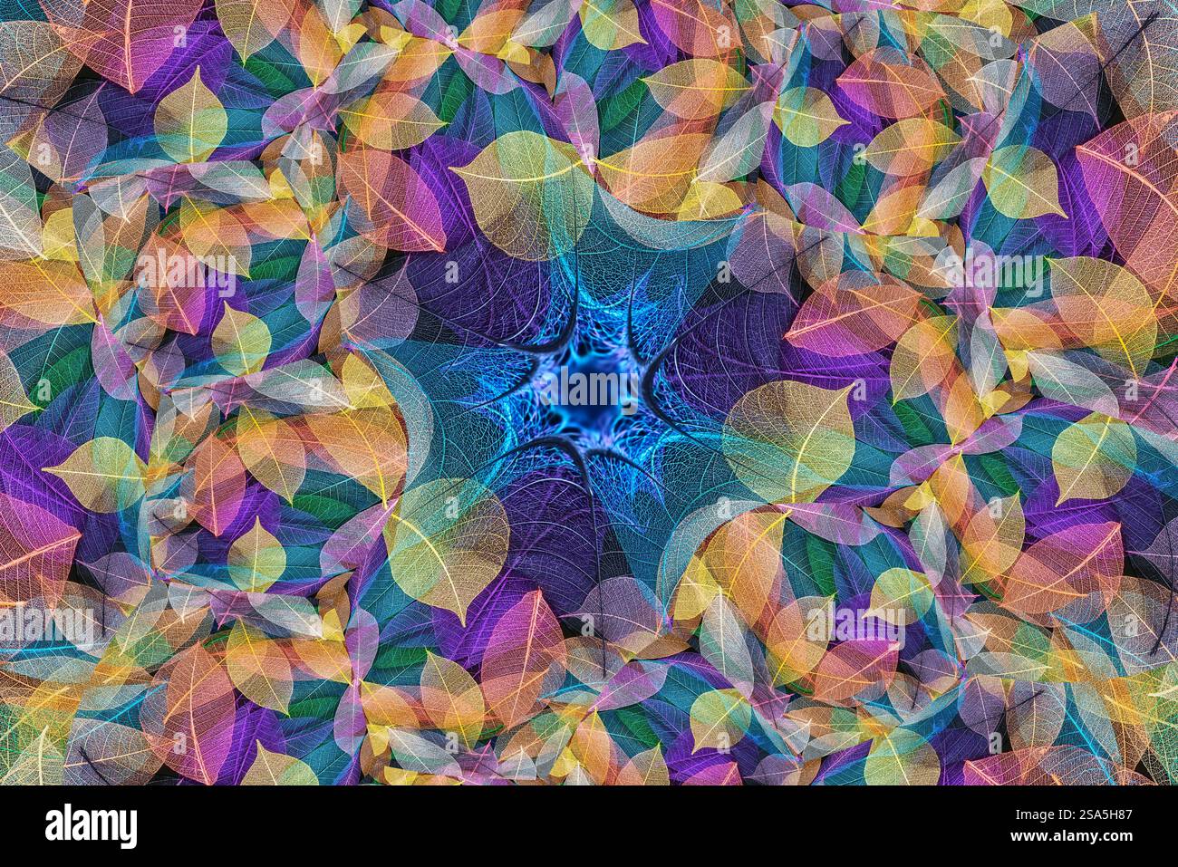 Multi-colored skeleton leaves arranged on black background Stock Photo