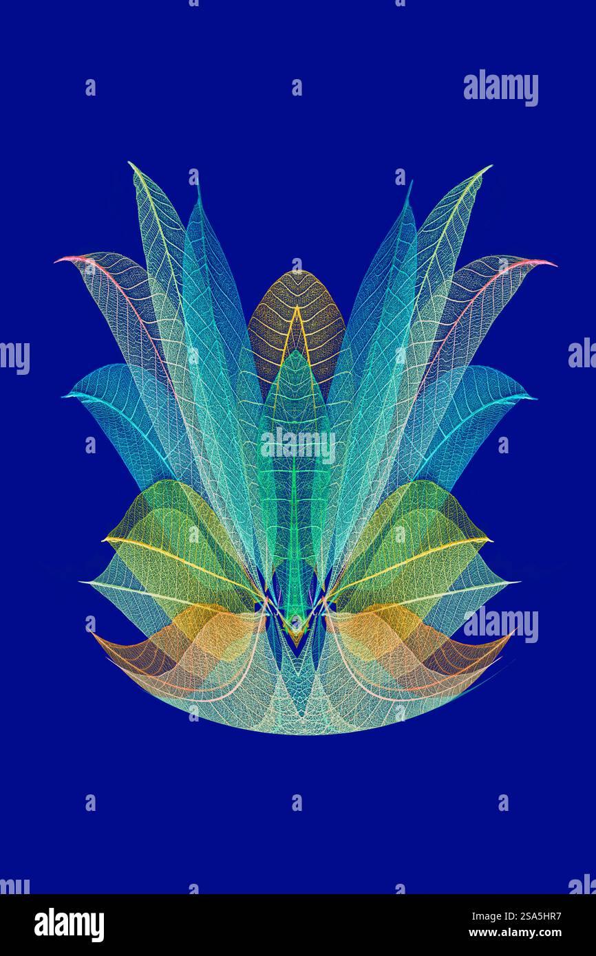 Multi-colored skeleton leaves arranged on blue background. Stock Photo