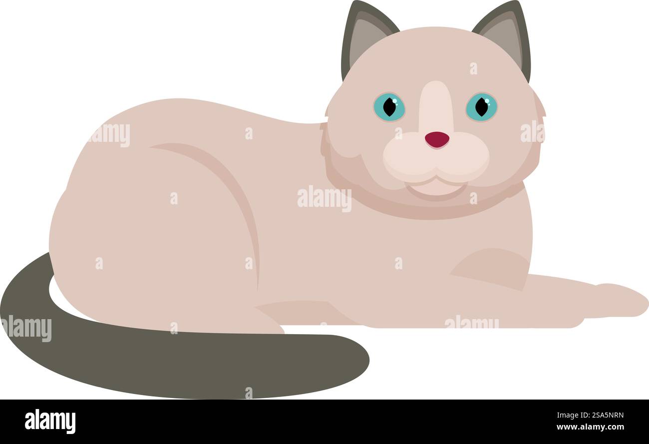 ragdoll cat with blue eyes