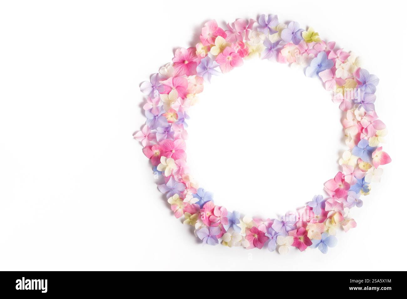 Overhead frame filled view Cut Out Stock Images & Pictures - Alamy