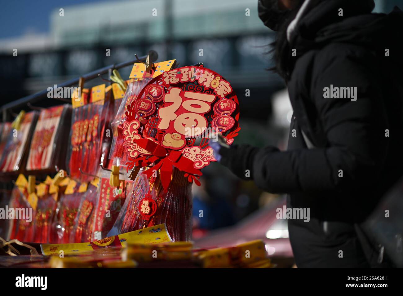 flushing queens chinese new year 2025
