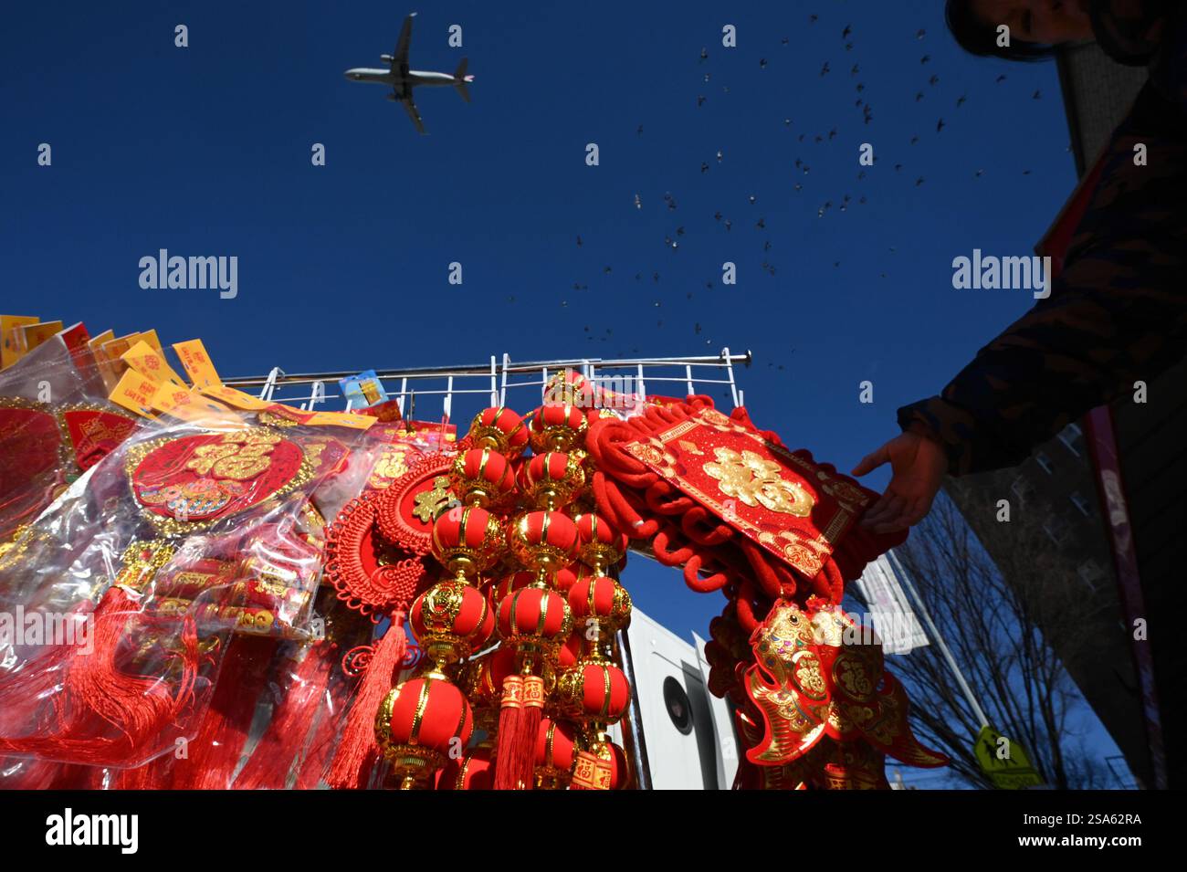 flushing chinese new year parade 2025