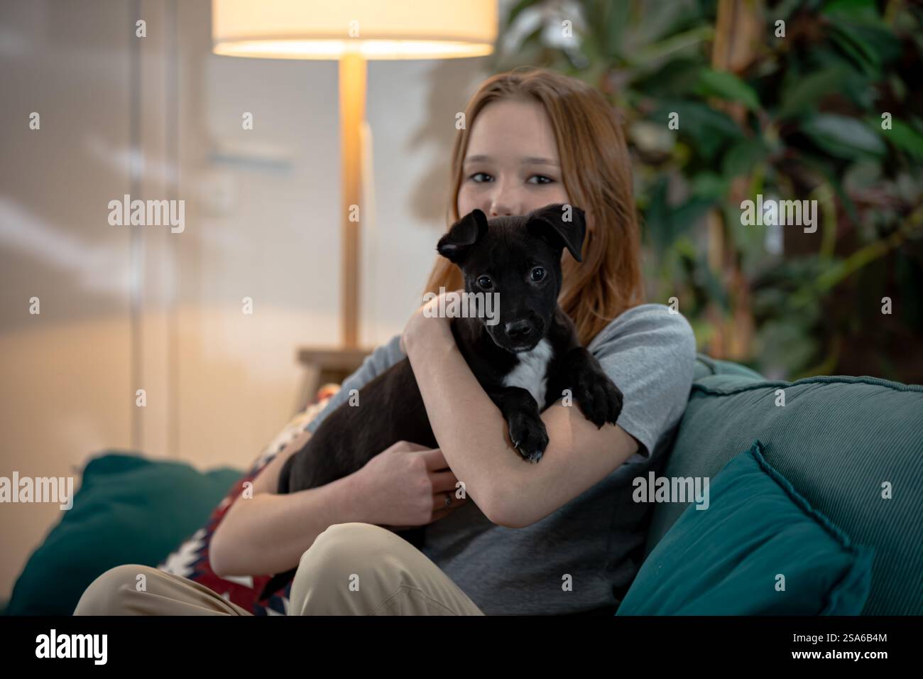 A Cozy Moment A Girl Cuddling Adorably with a Black Puppy on a ...