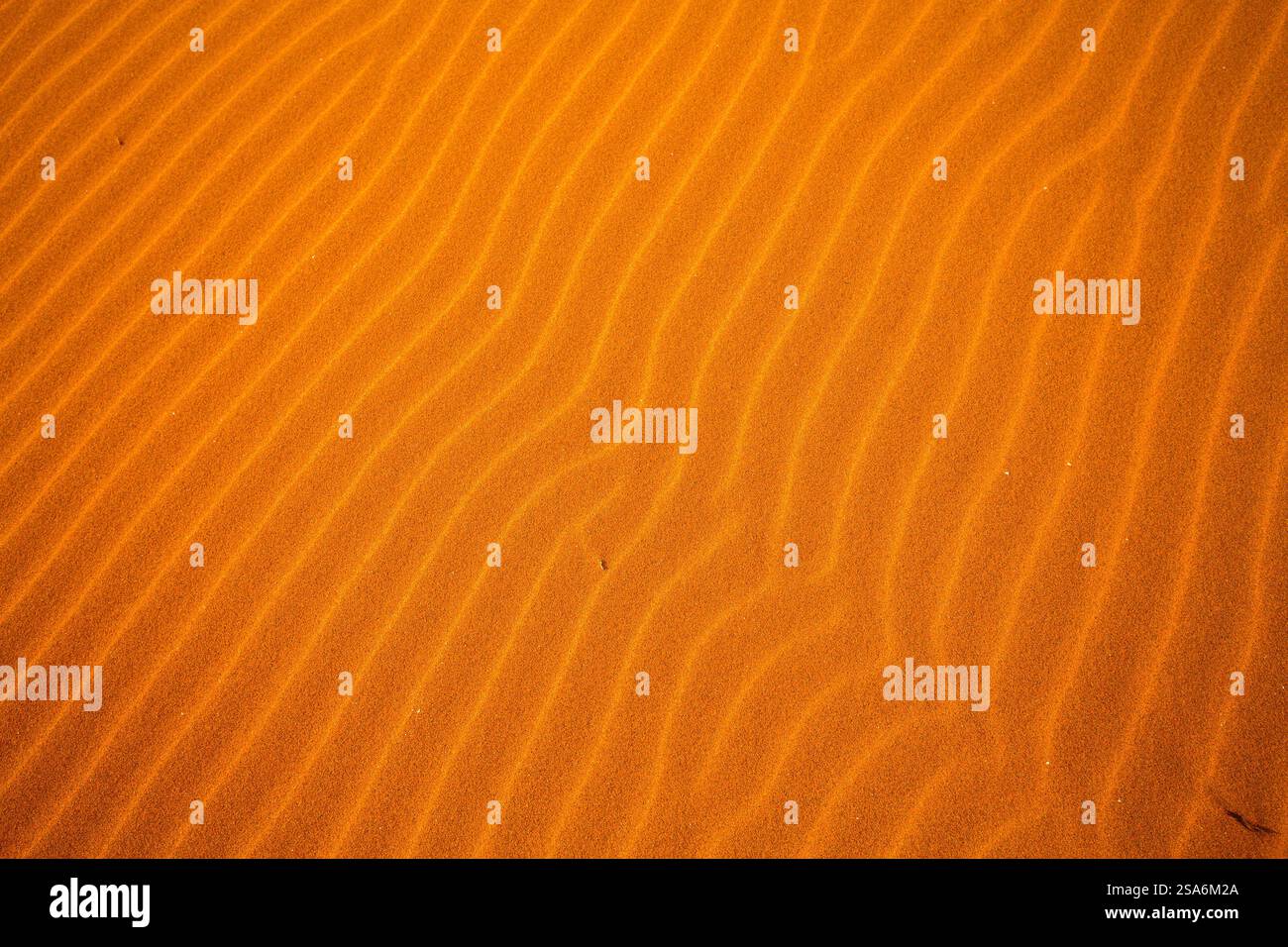 Beautiful desert pattern hi-res stock photography and images - Alamy