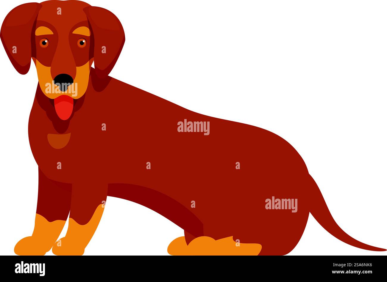 Happy brown dachshund dog with its tongue out sitting. Brown dachshund dog sitting and panting Stock Vector