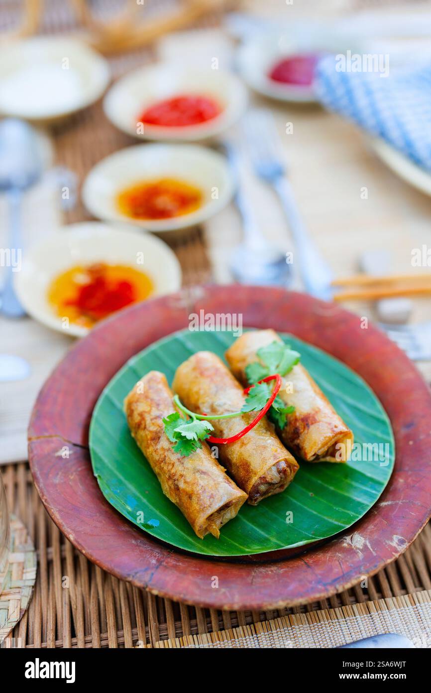 Vietnamese fried spring rolls with sweet chili sauce Stock Photo
