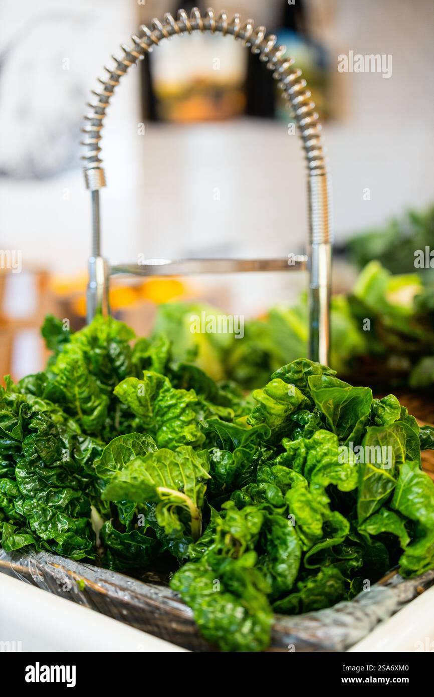 Green lettuce leaves being washed in kitchen sink under modern chrome gooseneck faucet with spring design. Stock Photo