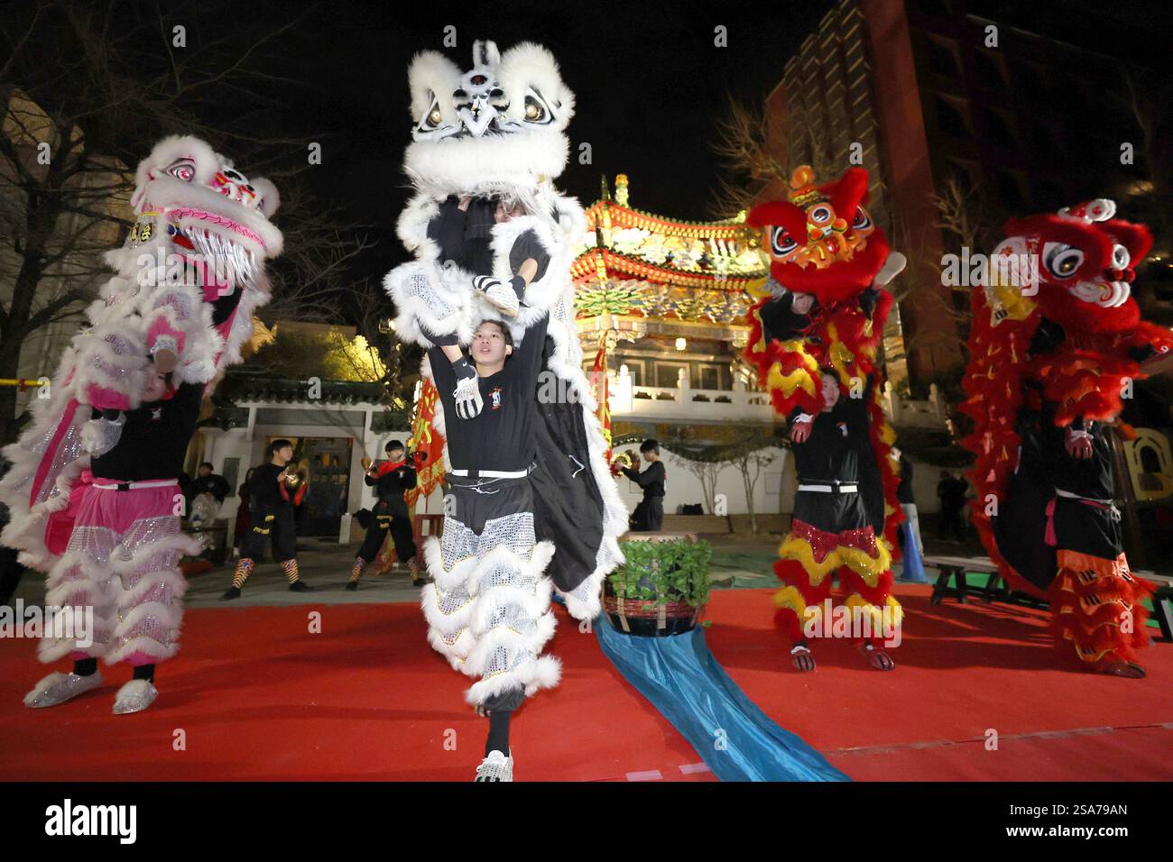 do the japanese celebrate chinese new year