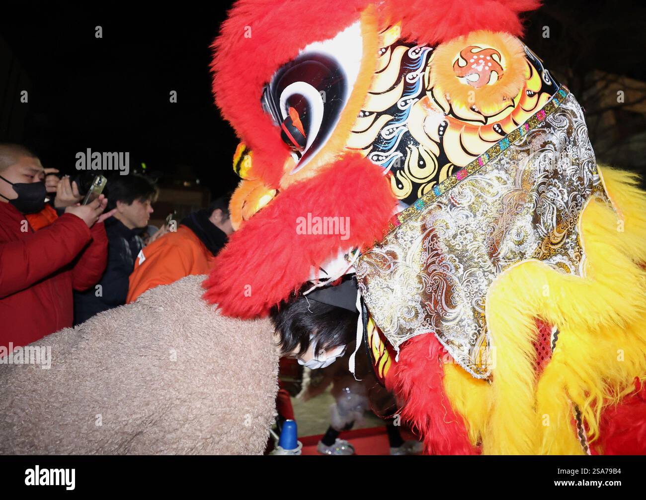 do the japanese celebrate chinese new year