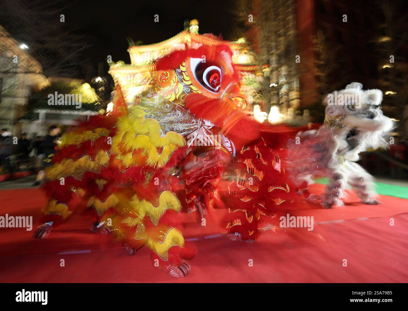 chinese new year chinatown hawaii