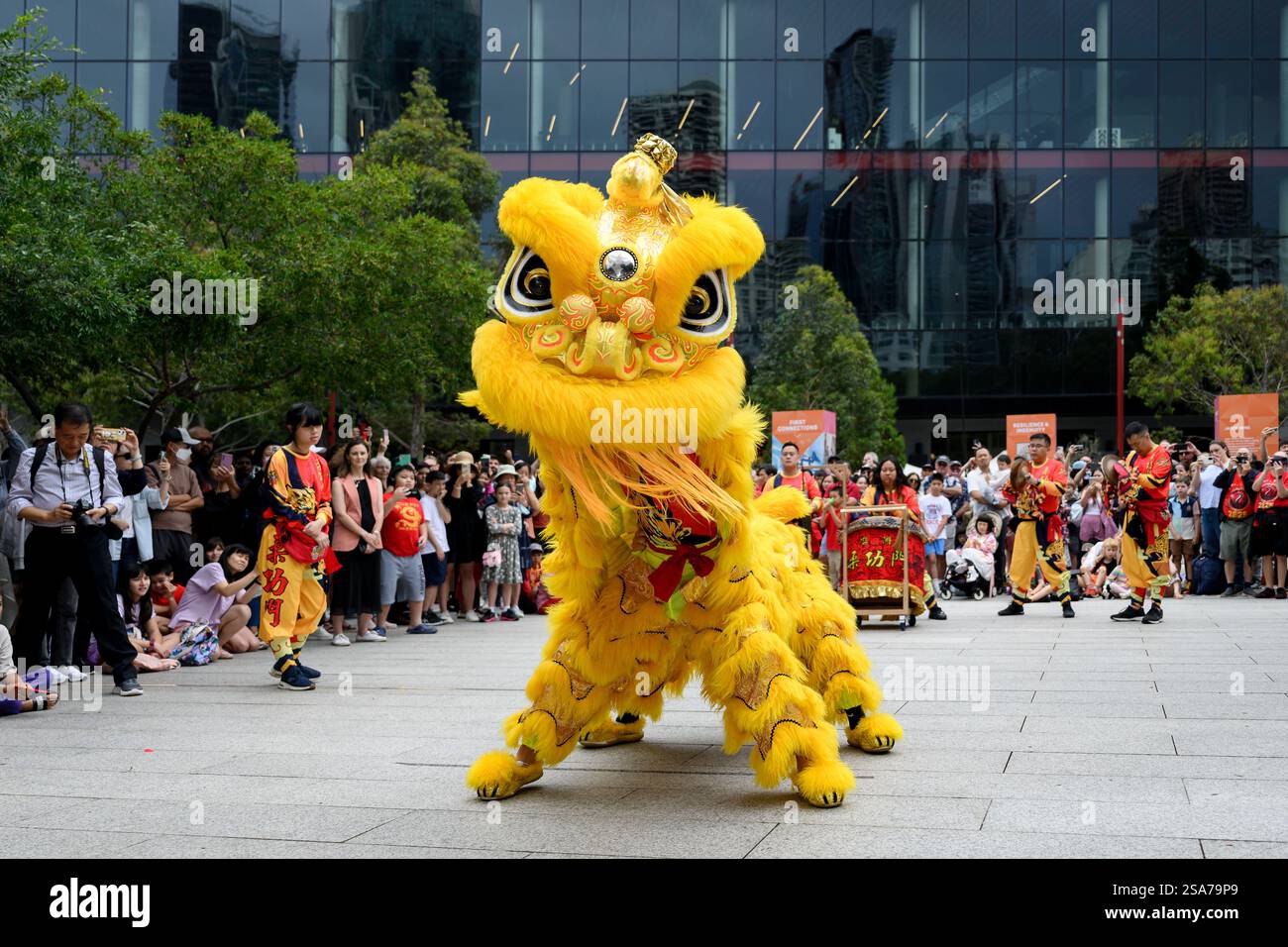 lion dancing chinese new year
