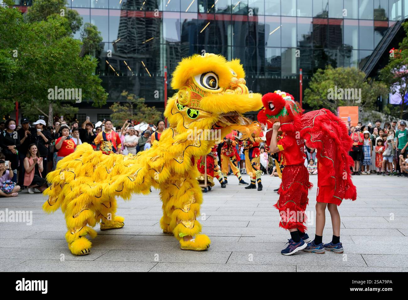 lunar chinese new year 2025 sydney
