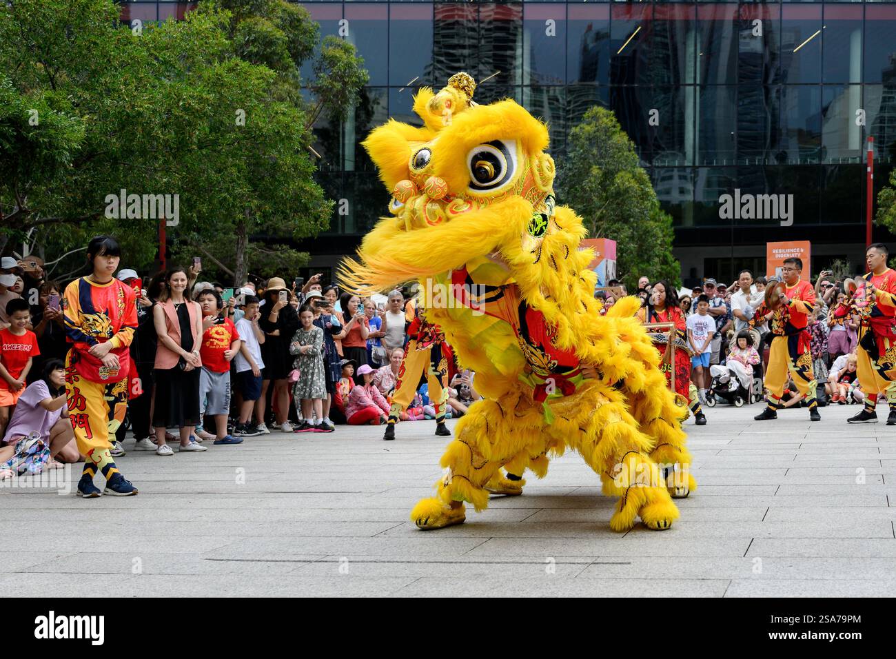 lunar chinese new year 2025 sydney