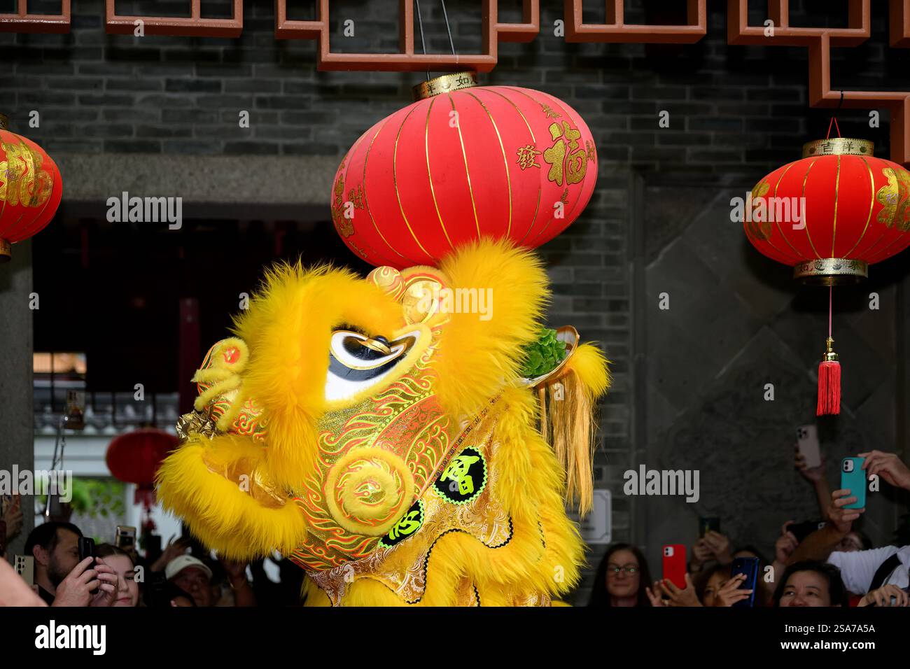 sydney chinese new year 2025