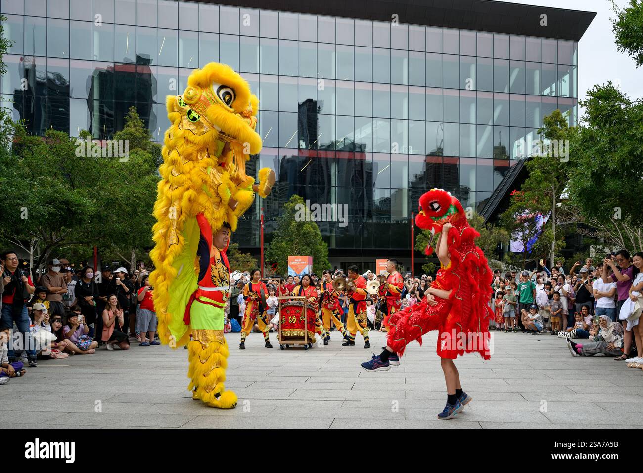 chinese new year in darling harbour