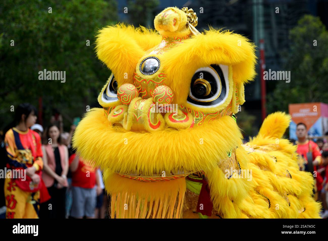 chinese new year celebrations darling harbour