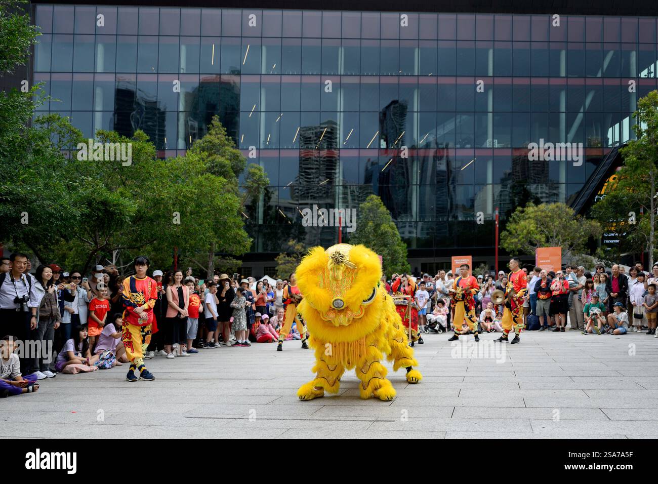 lion dance during chinese new year