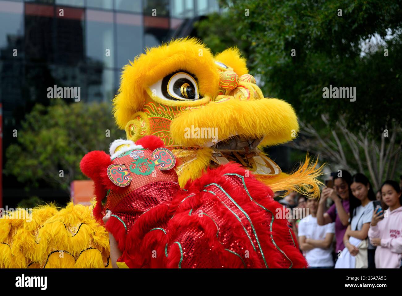lunar chinese new year 2025 sydney