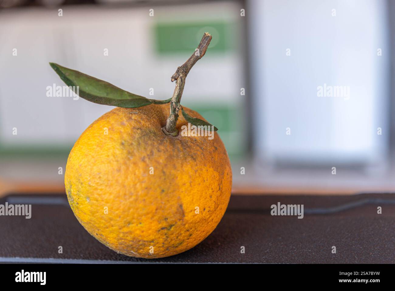 Orange picked with fruit stick and leaf. Stock Photo