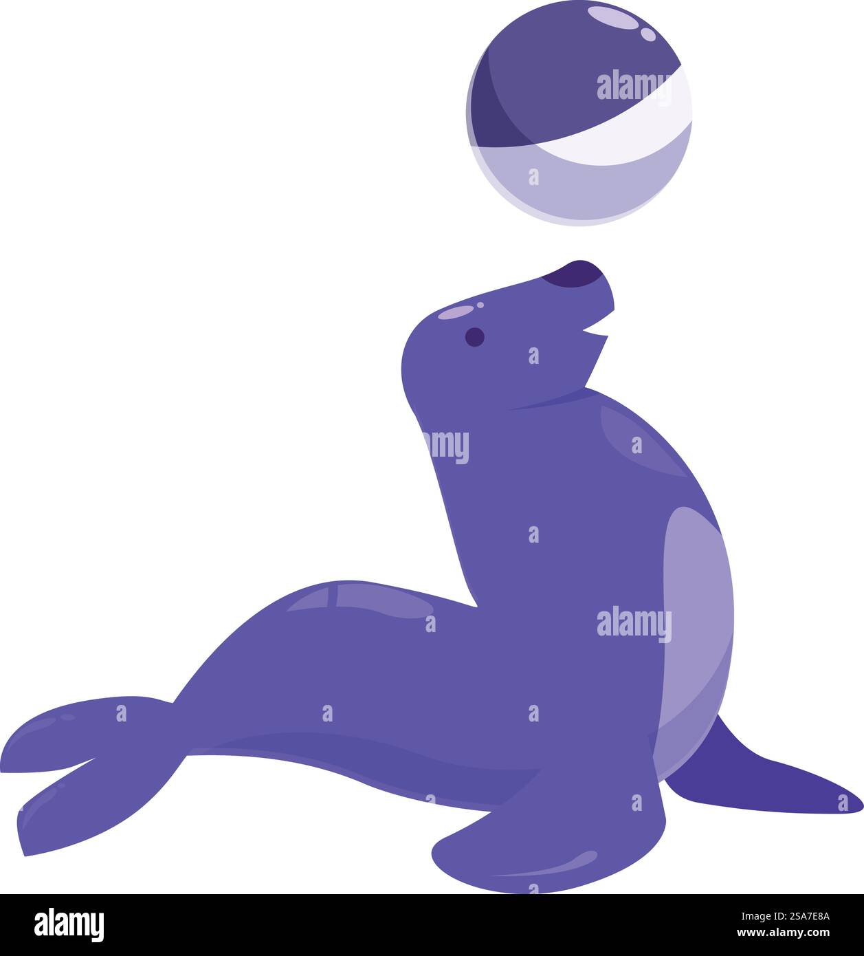 Circus seal balancing ball on nose performing a trick. Purple eared ...