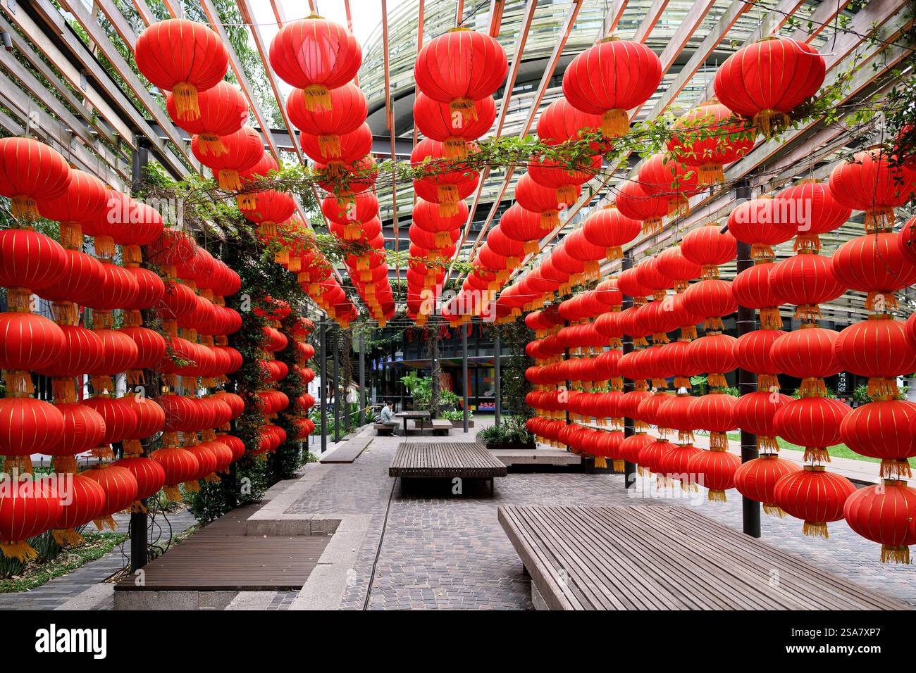 chinese new year markham 2025