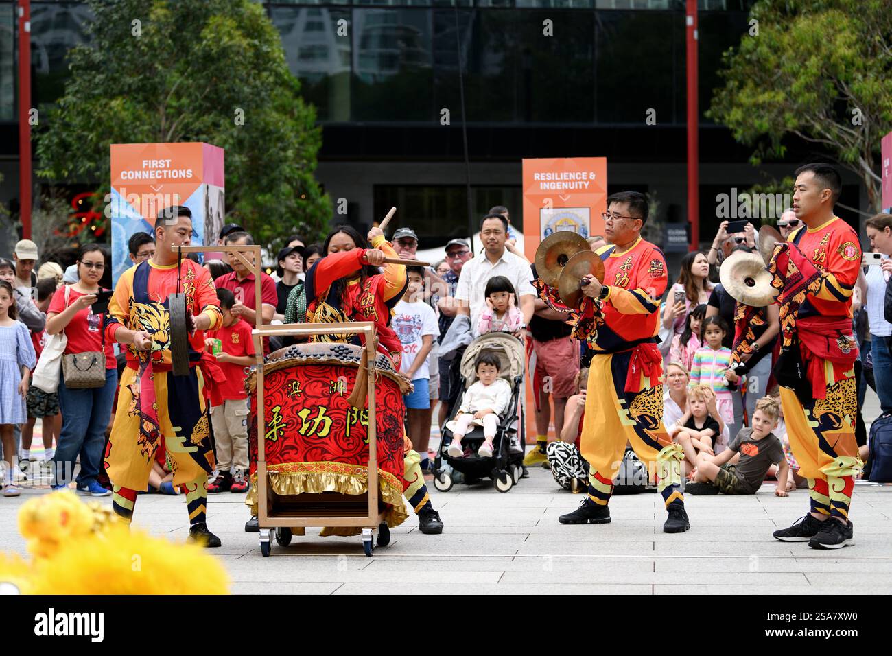lunar chinese new year 2025 sydney