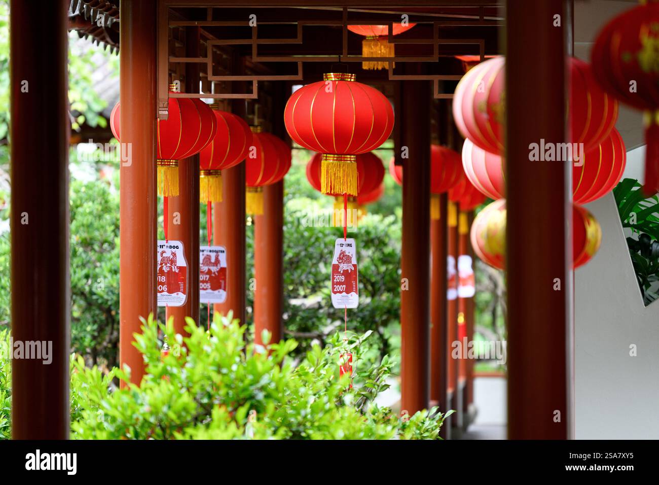 making a lantern for chinese new year